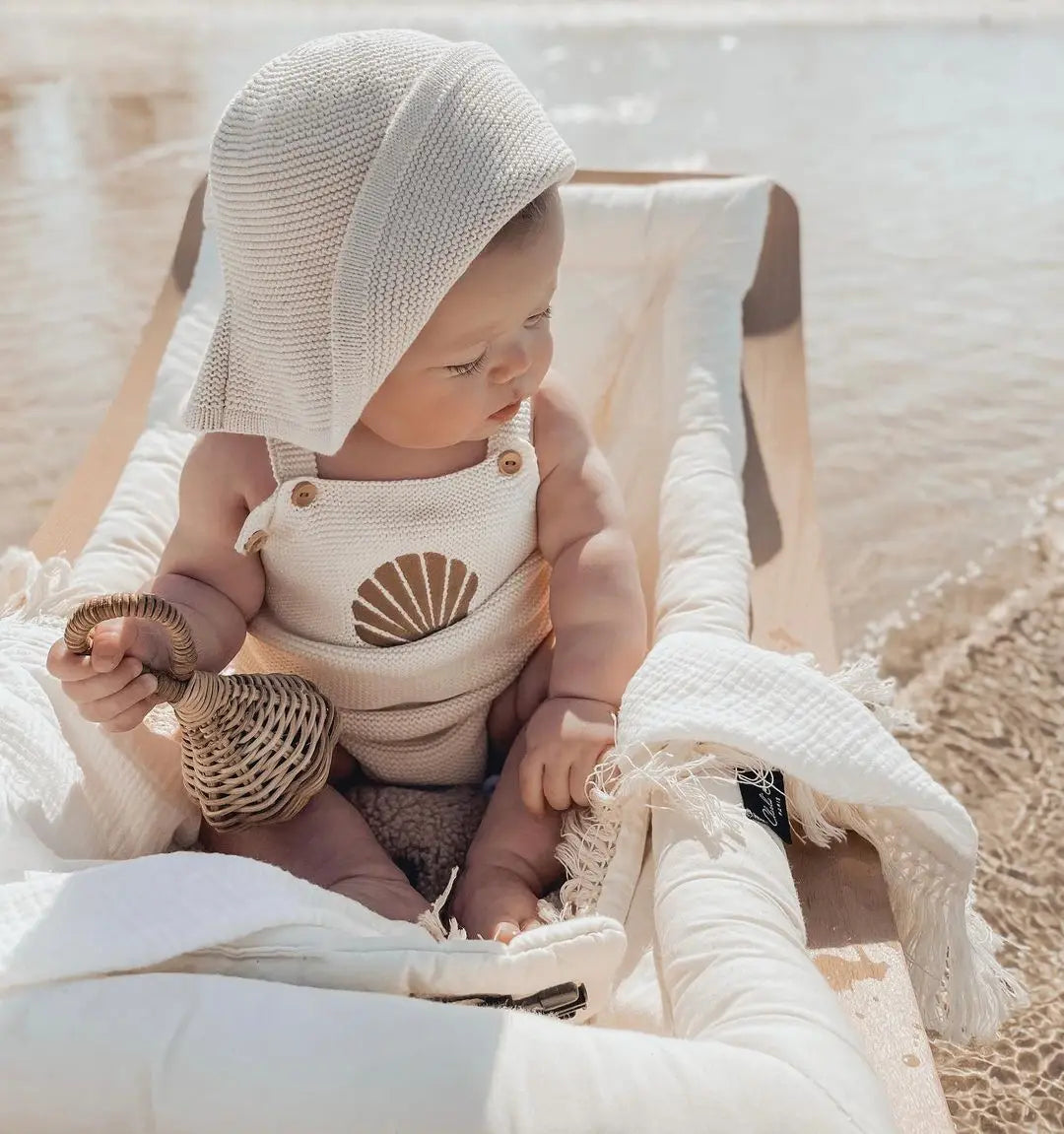 Seashell Set
