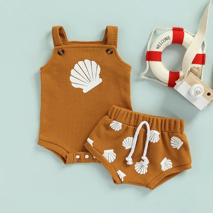 Seashell Set