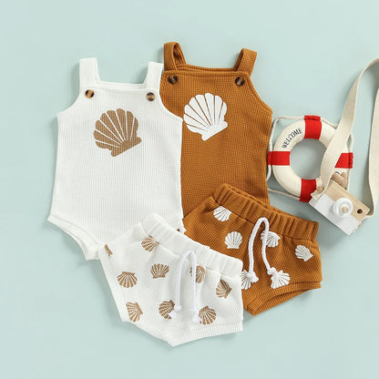 Seashell Set