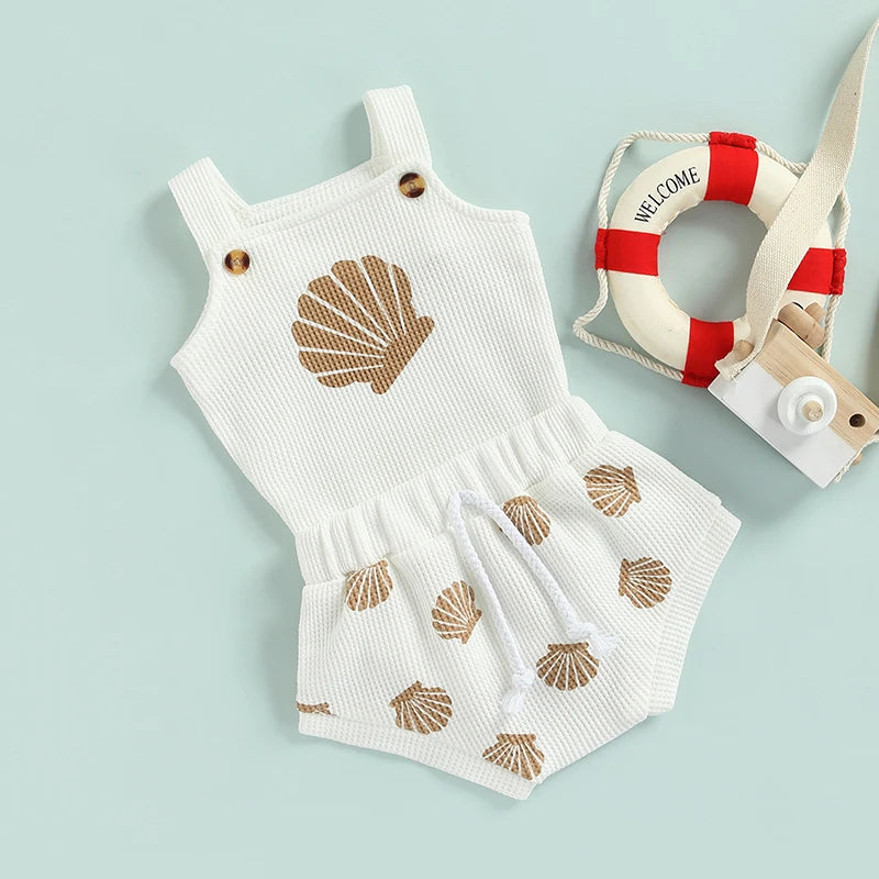 Seashell Set