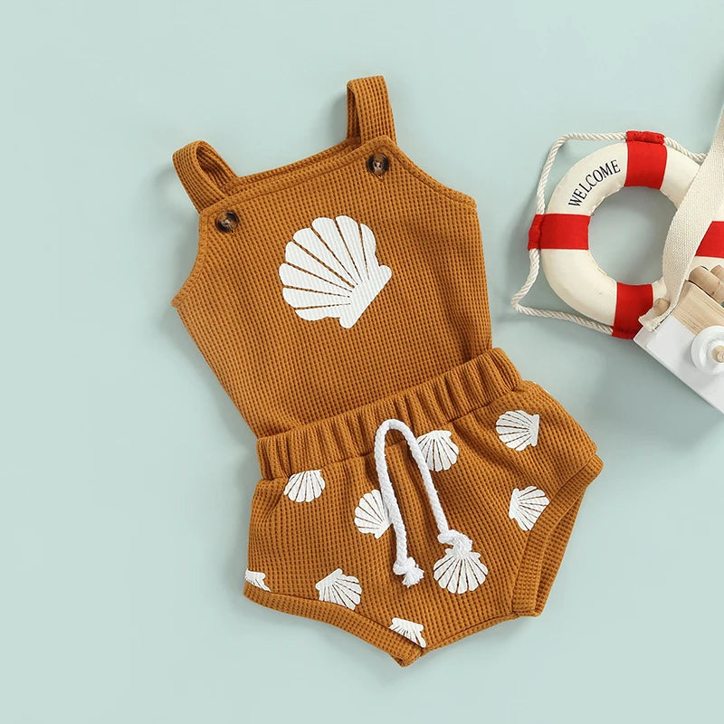 Seashell Set